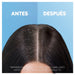 Shampoo Tea Tree Fresh - Head & Shoulders : 540 ML - 6