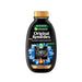 Shampoo Equilibrante de Carvão Magnético - Garnier : 250 ml - 1