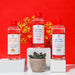 Antiaging Toner - Antiaging Witch Hazel Toner 200 ml - Nature Spell - 2
