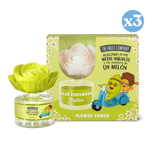 Pack 3x - Flor Perfumada Melon - A Empresa de Frutas - The Fruit Company - 1