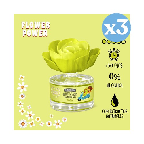 Pack 3x - Flor Perfumada Melon - A Empresa de Frutas - The Fruit Company - 2