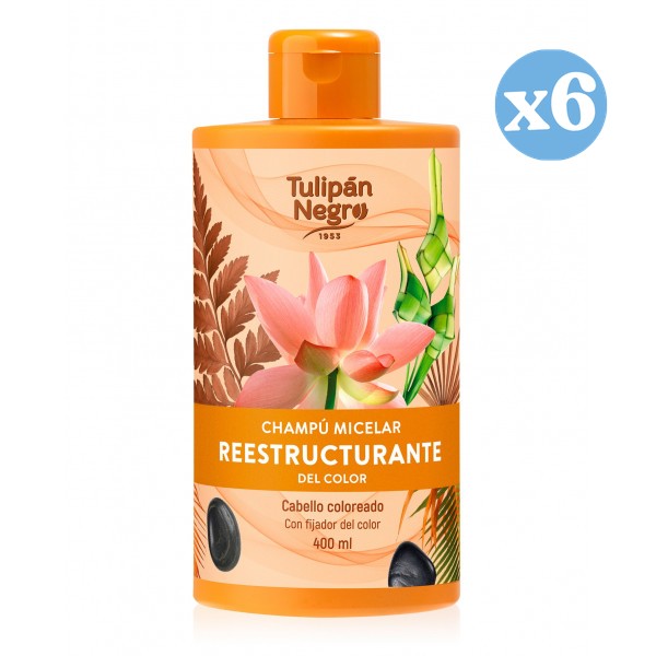 Pack 6x - Champô micelar reestruturante da cor - Tulipan Negro - 1