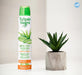 Pack 6x - SPRAY DEO ALOÉ E JOJOBA 200 ml. - Tulipan Negro - 3