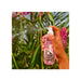 Brazilian Crush Cheirosa 68 Bruma Corporal 90ml - Sol de Janeiro - 3