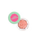 Blush Creme - Blush Garden - Neve Cosmetics: Wednesday Rose - 1